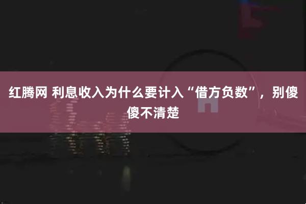 红腾网 利息收入为什么要计入“借方负数”，别傻傻不清楚