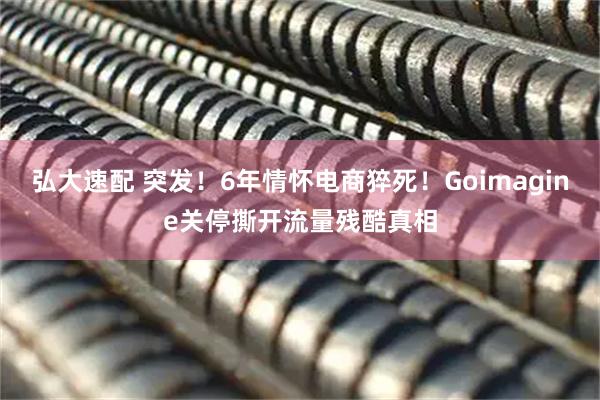 弘大速配 突发！6年情怀电商猝死！Goimagine关停撕开流量残酷真相
