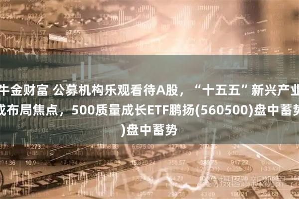 牛金财富 公募机构乐观看待A股，“十五五”新兴产业成布局焦点，500质量成长ETF鹏扬(560500)盘中蓄势