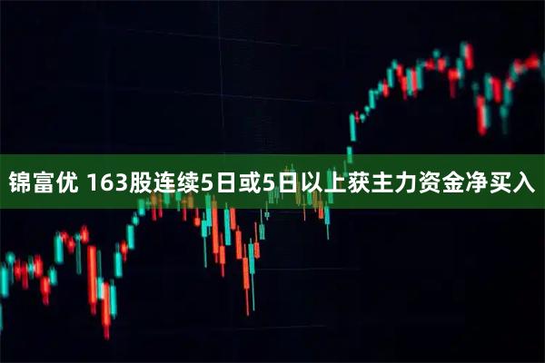 锦富优 163股连续5日或5日以上获主力资金净买入