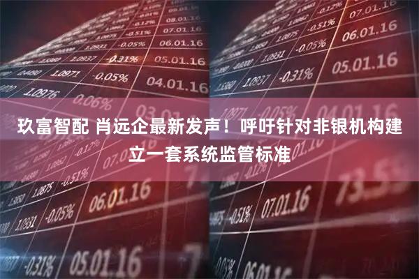 玖富智配 肖远企最新发声！呼吁针对非银机构建立一套系统监管标准