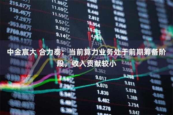 中金宸大 合力泰：当前算力业务处于前期筹备阶段，收入贡献较小