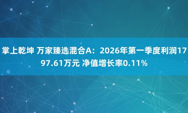 掌上乾坤 万家臻选混合A:2026年第一季度利润1797.61万元 净值增长率0.11%
