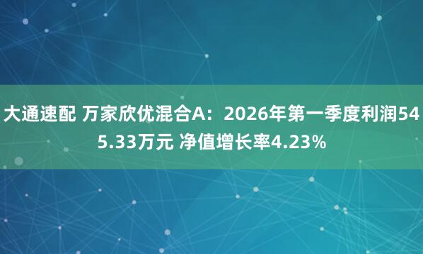 大通速配 万家欣优混合A：2026年第一季度利润545.33万元 净值增长率4.23%