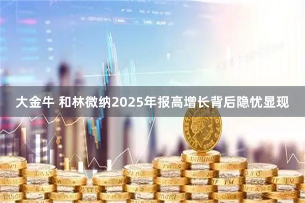 大金牛 和林微纳2025年报高增长背后隐忧显现