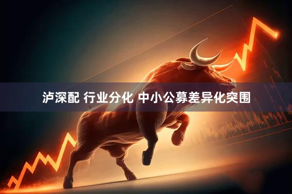 泸深配 行业分化 中小公募差异化突围