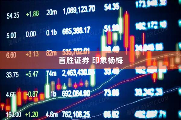 首胜证券 印象杨梅