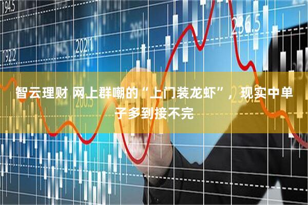 智云理财 网上群嘲的“上门装龙虾”，现实中单子多到接不完