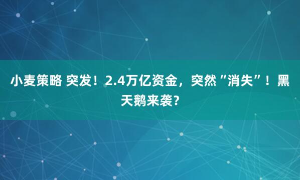 小麦策略 突发！2.4万亿资金，突然“消失”！黑天鹅来袭？