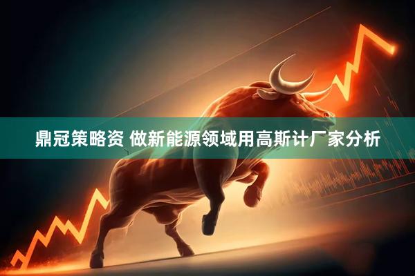 鼎冠策略资 做新能源领域用高斯计厂家分析