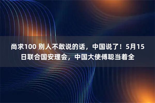 尚求100 别人不敢说的话，中国说了！5月15日联合国安理会，中国大使傅聪当着全