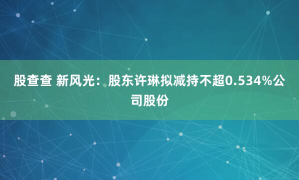 股查查 新风光：股东许琳拟减持不超0.534%公司股份