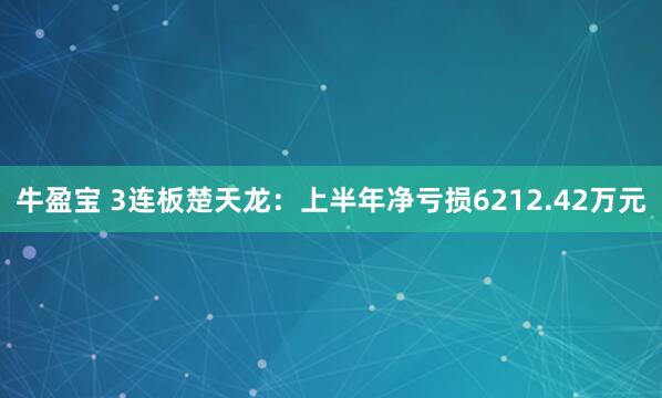 牛盈宝 3连板楚天龙：上半年净亏损6212.42万元