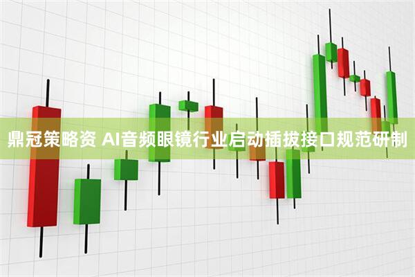 鼎冠策略资 AI音频眼镜行业启动插拔接口规范研制