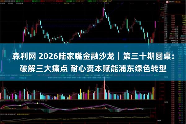 森利网 2026陆家嘴金融沙龙｜第三十期圆桌：破解三大痛点 耐心资本赋能浦东绿色转型